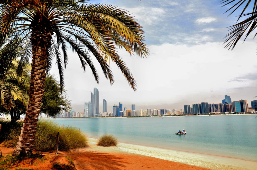 VAE Abu Dhabi Strand Palme