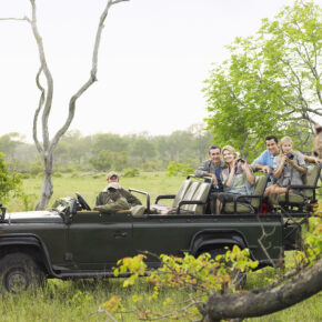 Entdeckt die Big Five: 11 Tage Krüger Nationalpark in Südafrika mit Hotels, Vollpension, Flug & Extras nur 1.409€ Entdeckt die Big Five: 11 Tage Krüger Nationalpark in Südafrika mit Hotels, Vollpension, Flug & Extras nur 1.409€