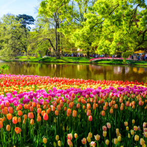 Niederlande Keukenhof Tulpen See