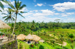 2 for 1 Angebot bei journaway: Rundreisen in Japan, Bali, Südafrika & mehr