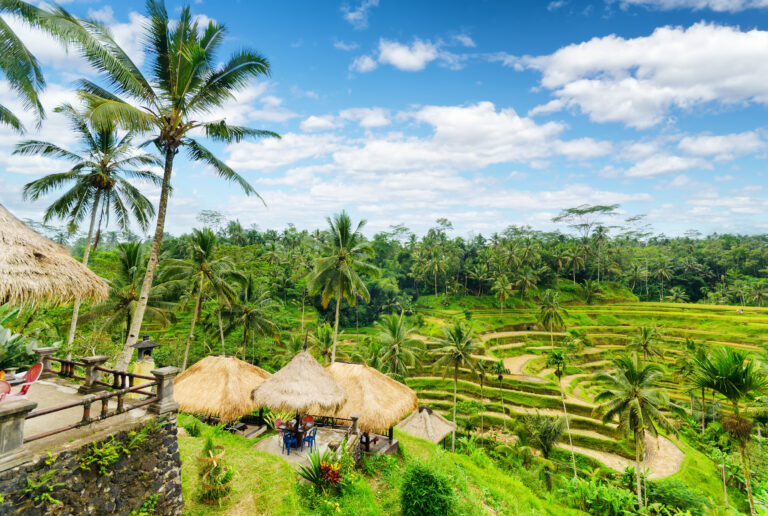 Indonesien Bali Reisterrasse Hütten