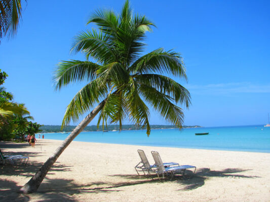 Jamaika Negril Palmen Stühle
