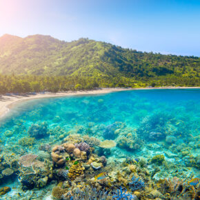 Error Fare: 22 Tage auf der indonesische Insel Lombok mit privatem Bungalow & Frühstück nur 9€ Error Fare: 22 Tage auf der indonesische Insel Lombok mit privatem Bungalow & Frühstück nur 9€