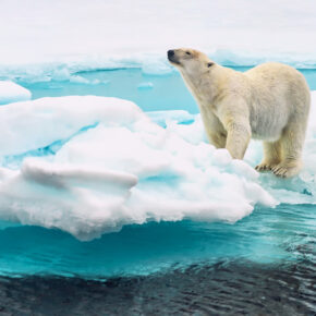 Naturwunder in Spitzbergen erleben: Flüge nach Longyearbyen hin & zurück nur 266€