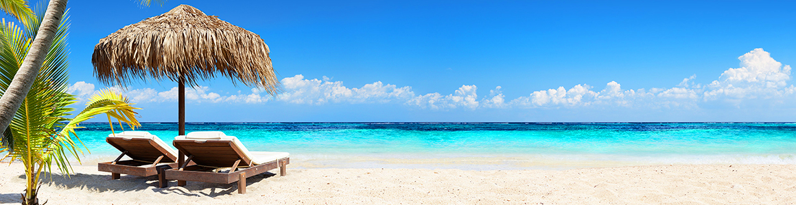 Strand Palmen Sonnenliegen Panorama