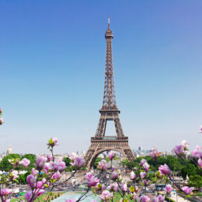 Frankreich Paris Eiffelturm Frühlingsblüte