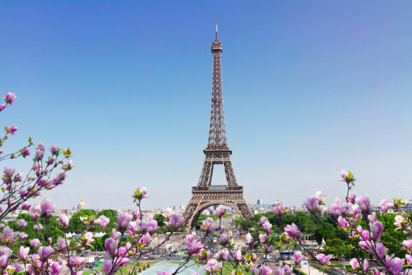 Frankreich Paris Eiffelturm Frühlingsblüte