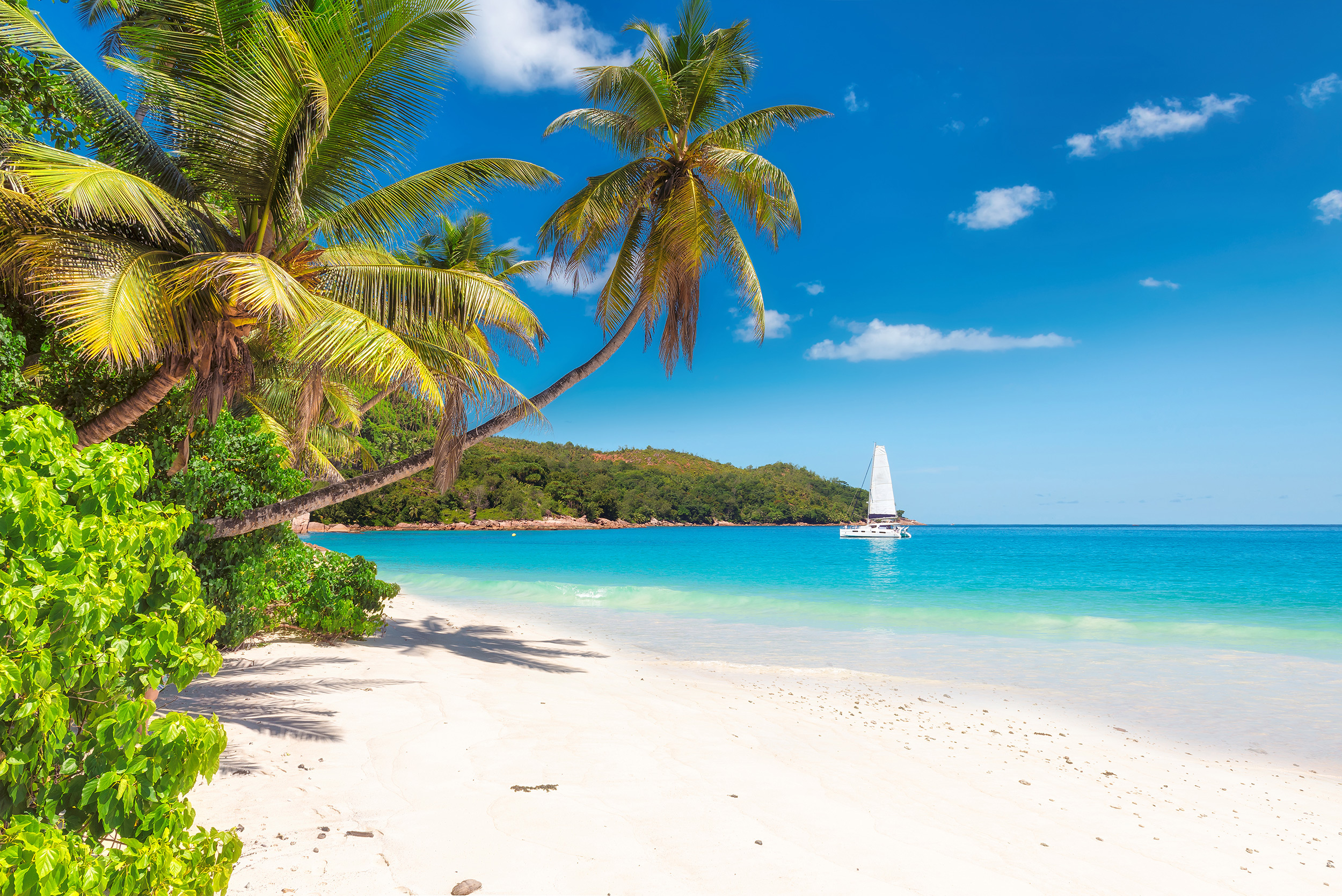 Jamaika Schnäppchen Hin & Rückflüge nach Montego Bay ab 594€ Urlaubstracker.de