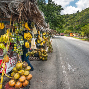 Jamaika Straße Obststand