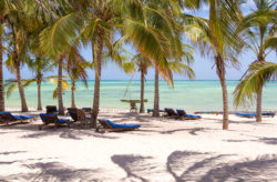 KRASS: Super günstige Last Minute Direktflüge nach Kenia ab NUR 341€