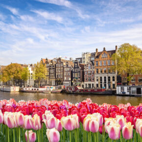 Niederlande Amsterdam Kanal Tulpen