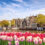 Wochenende in Amsterdam: 2 Tage mit zentralem 4* Hotel nur 80€