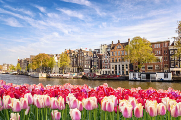 Niederlande Amsterdam Kanal Tulpen