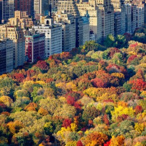 USA: 7 Tage New York mit zentralem 3* Hotel in Manhattan & Flug nur 509€ USA: 7 Tage New York mit zentralem 3* Hotel in Manhattan & Flug nur 509€
