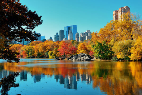 USA New York Central Park Spiegelbild