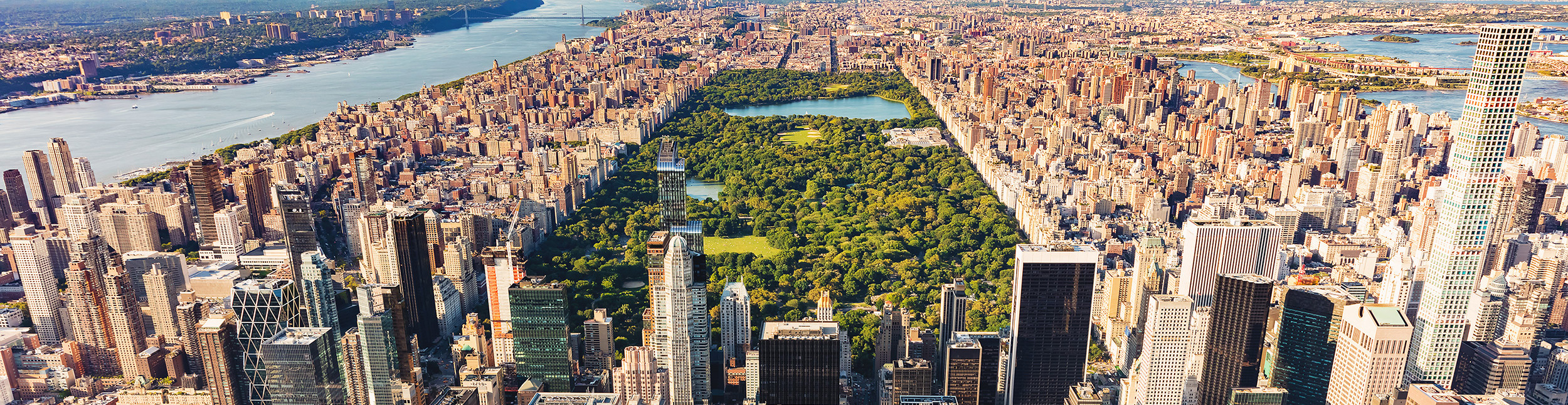 USA New York City Central Park Times Square Panorama