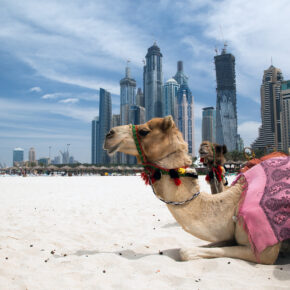 Höchstes Hotel der Welt: 7 Tage im 4* Hotel in Dubai mit Frühstück, Flug, Transfer & Zug nur 454€ Höchstes Hotel der Welt: 7 Tage im 4* Hotel in Dubai mit Frühstück, Flug, Transfer & Zug nur 454€
