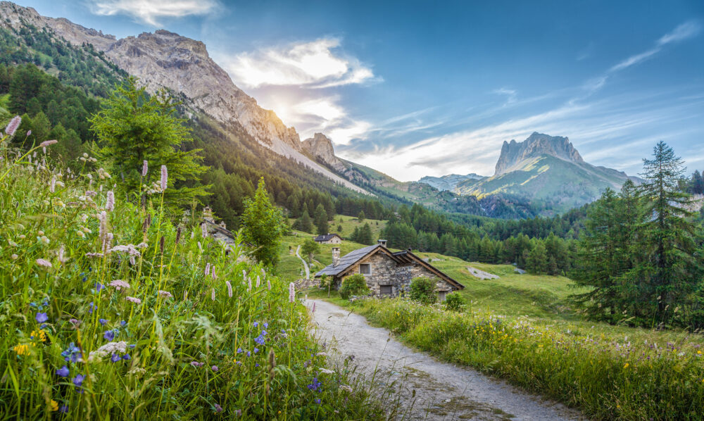 Single tirol