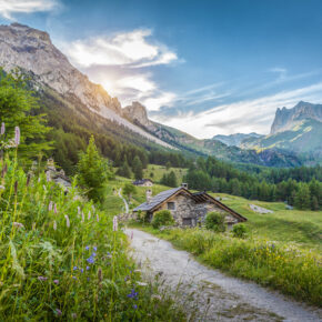 Alpen Tirol