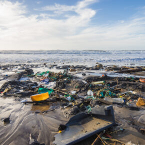 Umweltschutz: Reedereien verzichten auf Plastik an Bord Umweltschutz: Reedereien verzichten auf Plastik an Bord