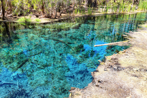 Australien Bitter Springs