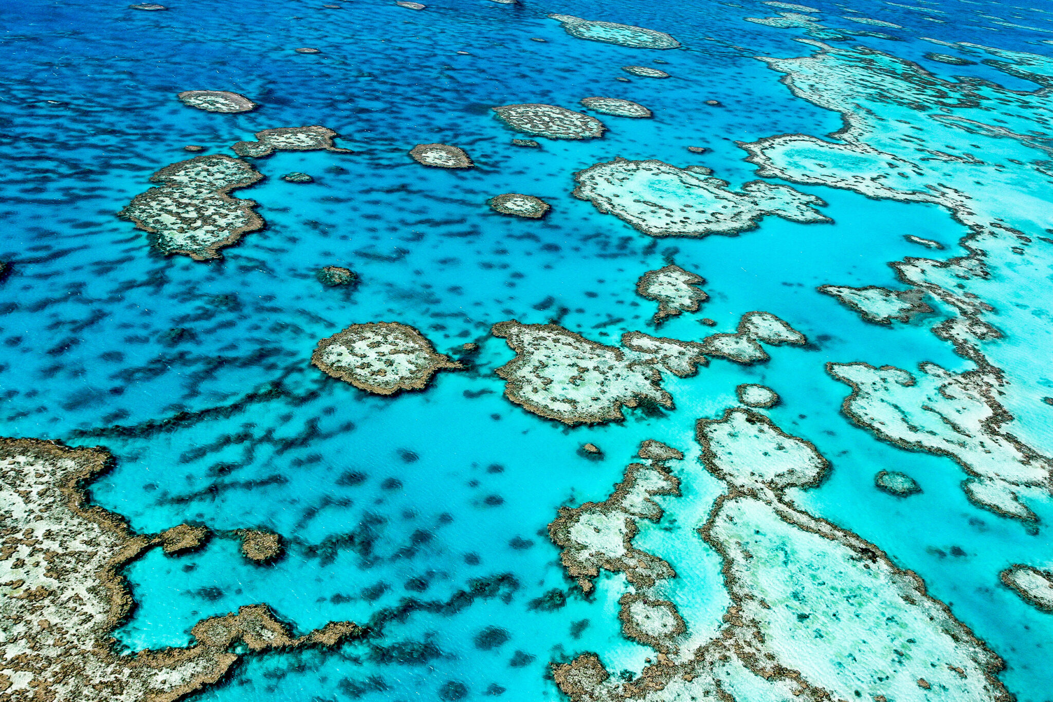 Great Barrier Reef Tipps für das größte Korallenriff der Erde