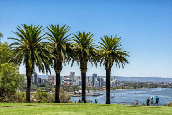 Australien Perth Kings Park