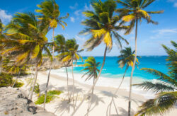 Die Reise Eures Lebens zum Wunschpreis: 17 Tage Transatlantik Kreuzfahrt von Curaçao nach Lis...