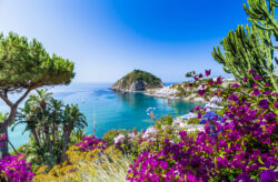 Singleurlaub auf Ischia: 8 Tage ins TOP 3* Hotel mit Halbpension, Flug & Transfer ab 699€
