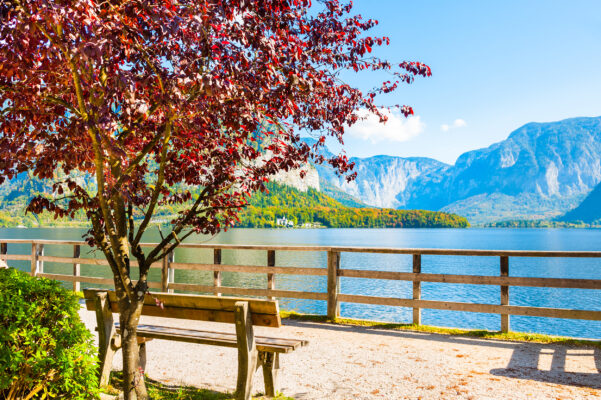 Österreich Hallstatt Bank