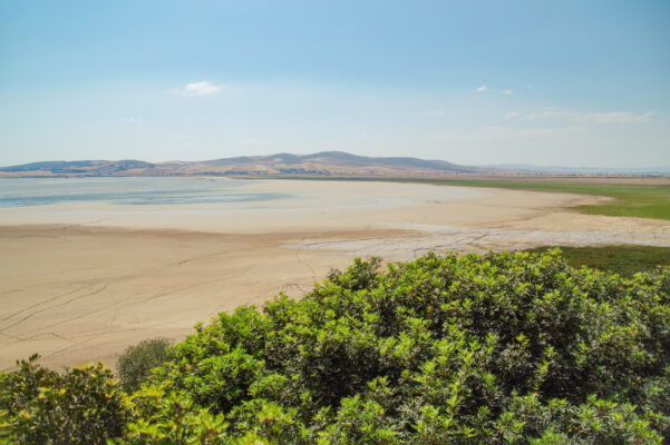 Tunesien Nationalpark Ichkeul