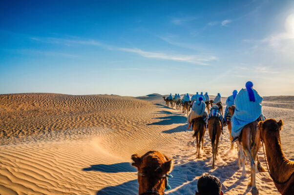 Tunesien Wüste Kamelwanderung