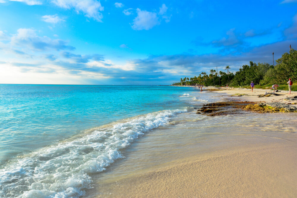 Dom Rep Isla Saona