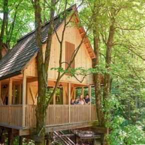 Glamping-Kurztrip: 2 Tage Slowenien im TOP Baumhaus mit Frühstück nur 72€