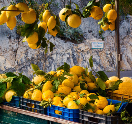 Italien Amalfi Zitronen