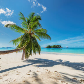 Urlaub auf Jamaika: 15 Tage mit Unterkunft & Flug nur 468€ Urlaub auf Jamaika: 15 Tage mit Unterkunft & Flug nur 468€