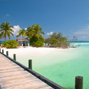 Miami & Karibik: 9 Tage nach Miami mit gutem 3* Hilton Hotel & Karibik Kreuzfahrt mit Vollpension und Transfer ab 1027€
