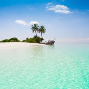 Malediven Atoll Korallenriff
