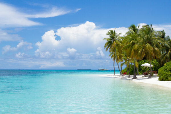 Malediven Palmenstrand