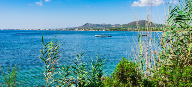 MALLORCA-KRACHER: 8 Tage im TOP 4* Hotel mit Frühstück & Flug nur 529€