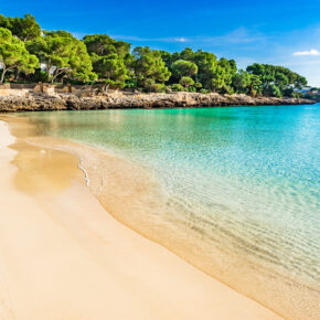 Cala d’Or Tipps: Die goldene Bucht Mallorcas