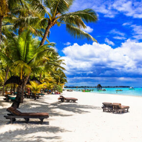 Mauritius Strandbetten