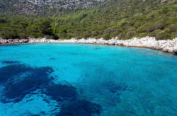 Last Minute in die Türkei: 8 Tage Bodrum mit guten 5* Hotel, All Inclusive, Flug & Trans...