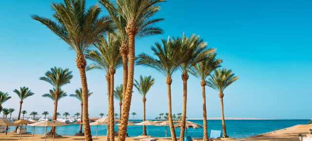 Größtes Rutschenparadies in Ägypten: 8 Tage im TOP 4* Hotel mit Aqua Park, All Inclusive, Flug & Transfer nur 764€