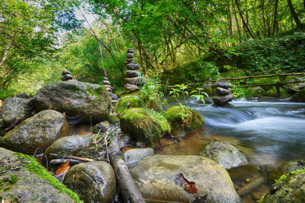 Bayerischer Wald Urlaub: Fluss