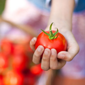 Die größte Tomatenschlacht des Jahres: 3 Tage Partyurlaub mit unlimited Bier & Sangria, Frühstück & Ticket fürs La Tomatina nur 142€ Die größte Tomatenschlacht des Jahres: 3 Tage Partyurlaub mit unlimited Bier & Sangria, Frühstück & Ticket fürs La Tomatina nur 142€