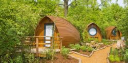 Luxus-Camping im Saarland: 2 Tage im 4* Glamping-Resort mit eigener Holzhütte nur 124€