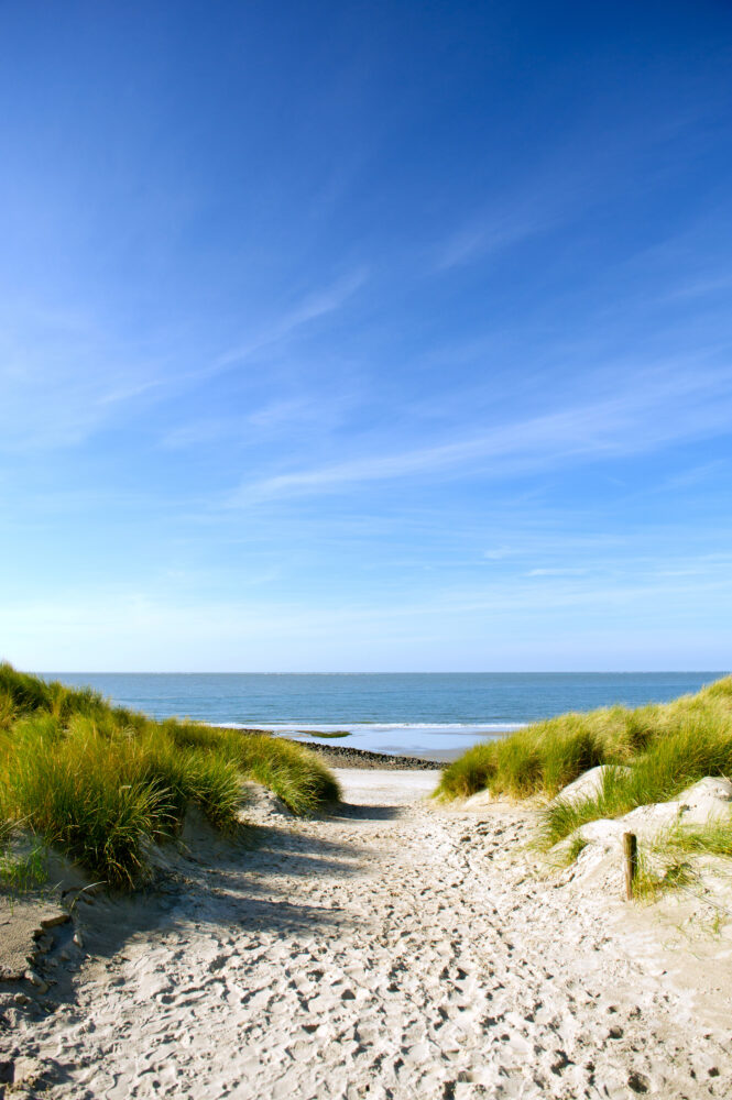 Holland Nordsee Sanddüne