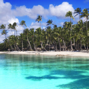 Karibik Tropischer Strand