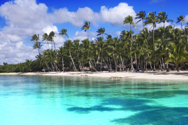 Karibik Tropischer Strand